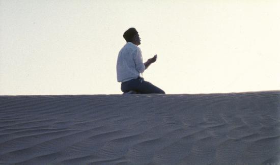 Le Grand Voyage, Arsenal Film